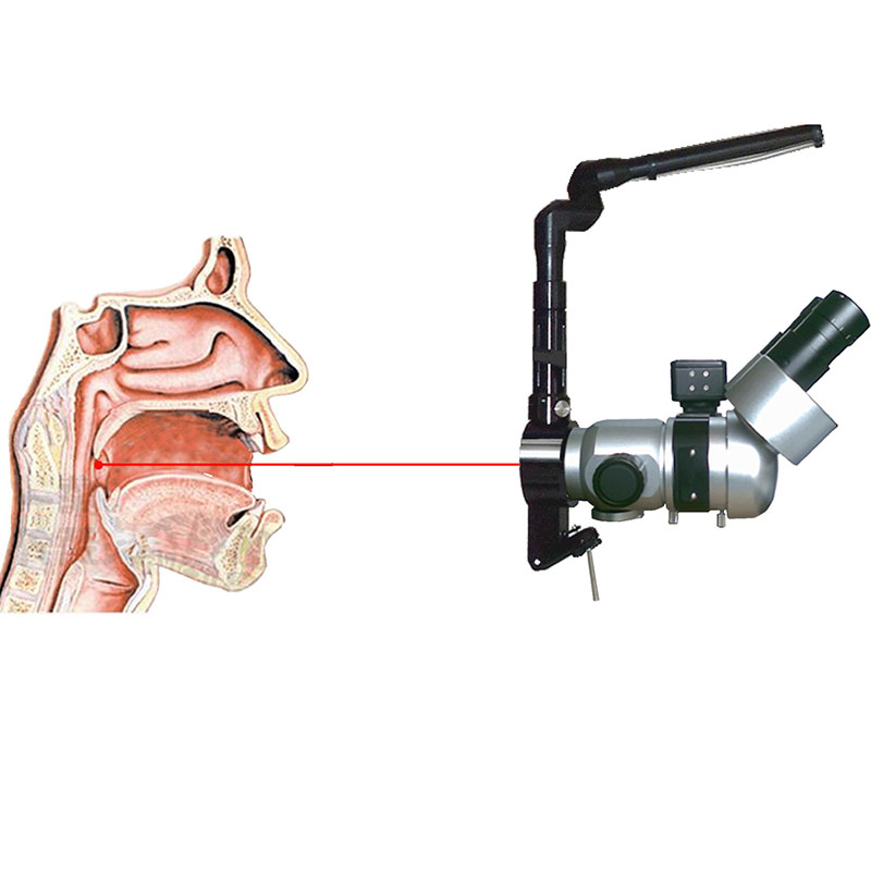 Laser Micromanipulator 