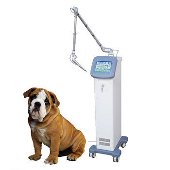 CO2 laser surgical Veterinary Instruments CL40