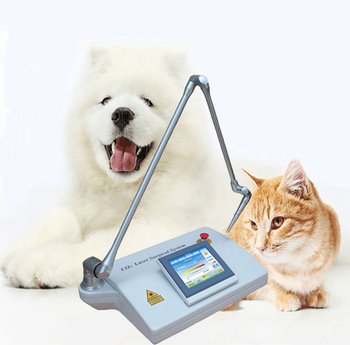 CO2 laser surgical  Veterinary Instruments CL20